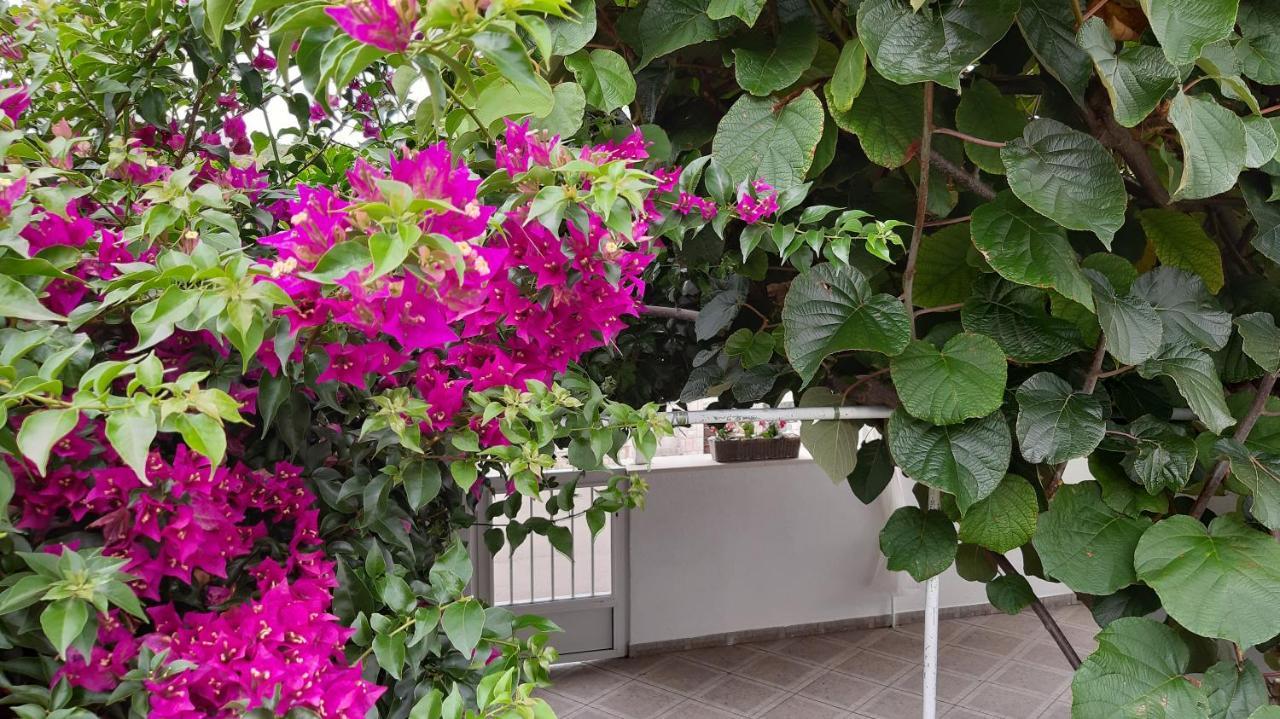 Studio Apartman Kornelija Lumbarda Dış mekan fotoğraf