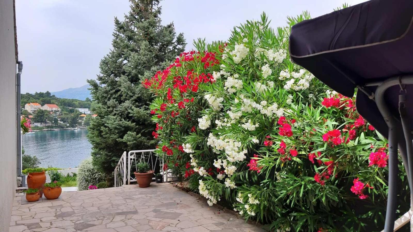 Studio Apartman Kornelija Lumbarda Dış mekan fotoğraf