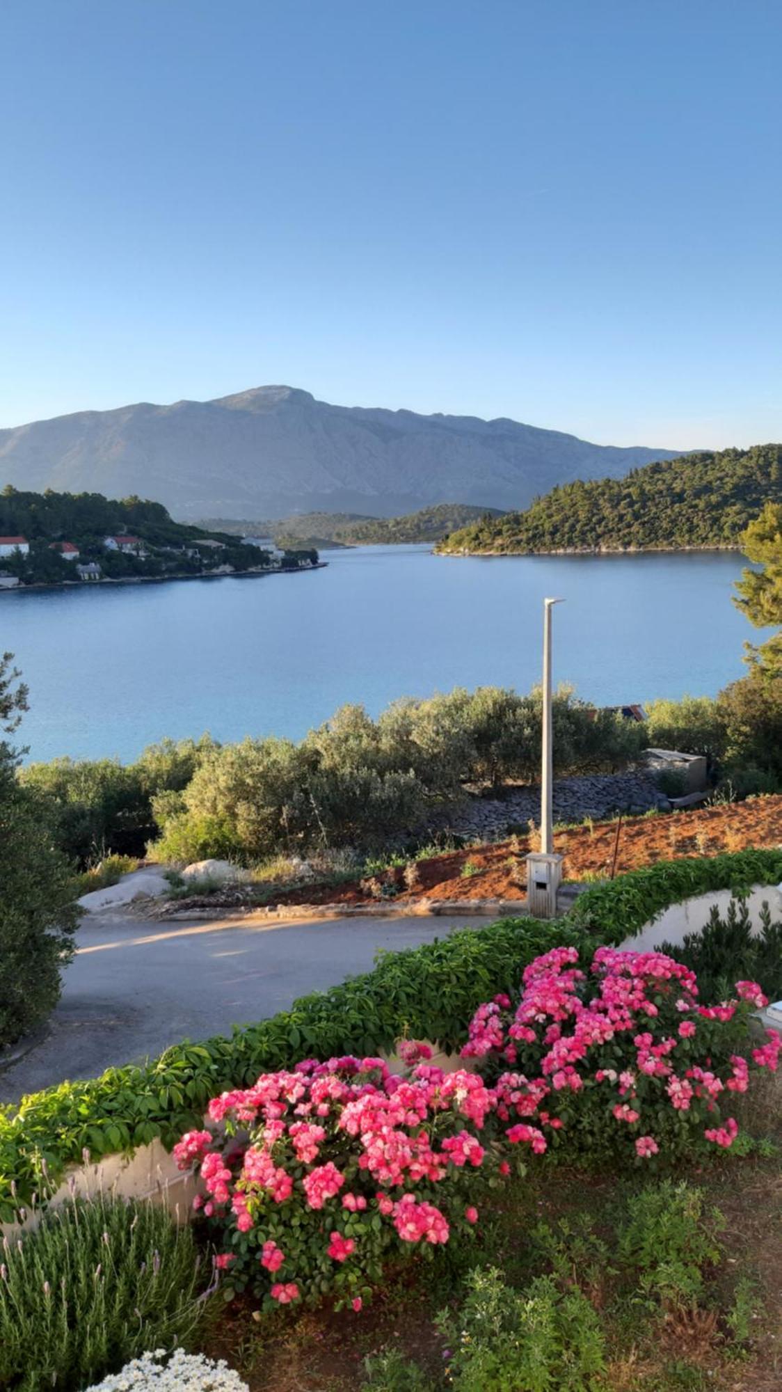 Studio Apartman Kornelija Lumbarda Dış mekan fotoğraf